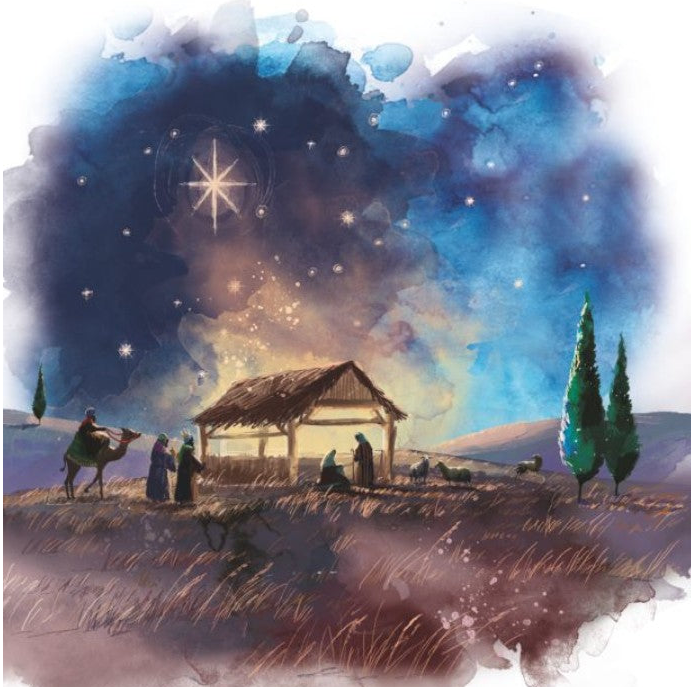 FileStore/Photos/SVP Christmas Cards/2026-09-18/02-Inky Night.png